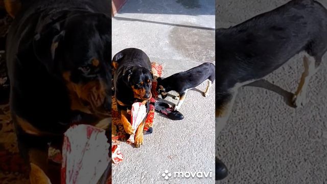 Девчонки работают//на улице ☀️ смотреть онлайн