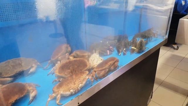крабы в аквариуме..в магазине смотреть онлайн
