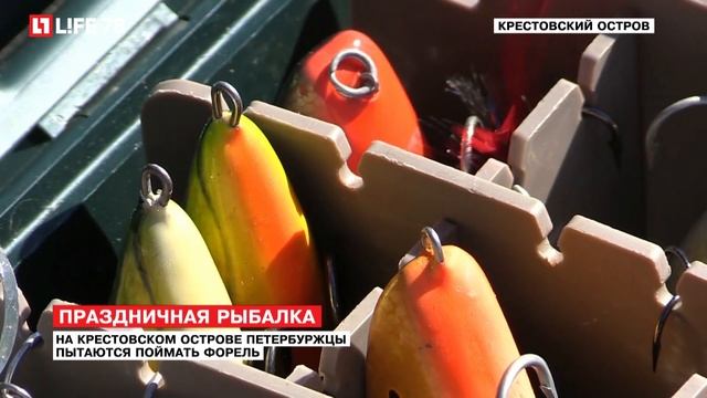 На Крестовском острове петербуржцы пытаются поймать форель смотреть онлайн