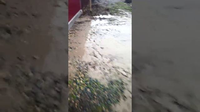 Поселок Советский Тимашевского района смотреть онлайн