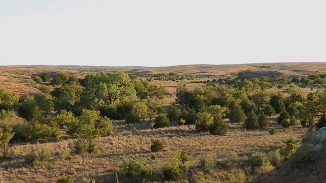 Hunt Breakdown 1201: Giant 200" Kansas Buck смотреть онлайн