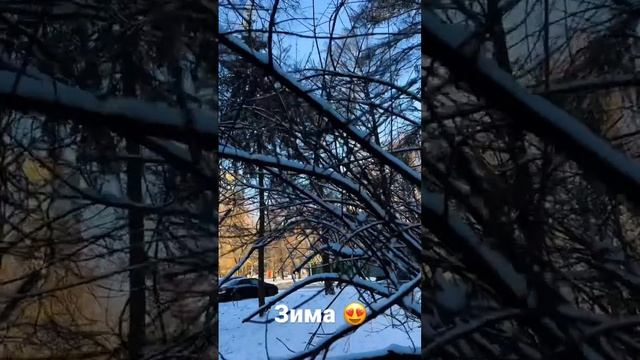 Красиво снимаем зимнюю природу. Идеи для видео смотреть онлайн