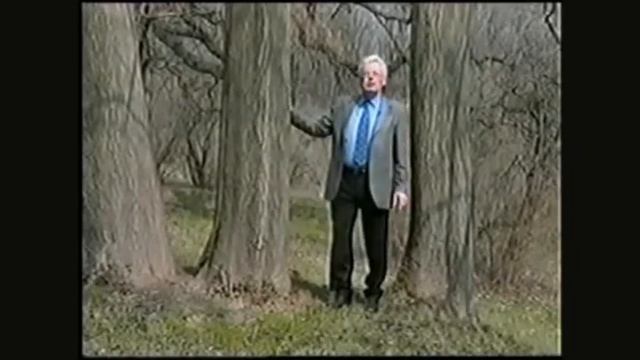 Чумак - Программа (комплекс сеансов)