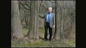 Чумак - Программа (комплекс сеансов)