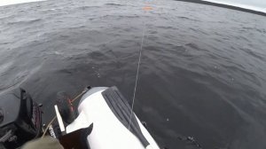 ТРОЛЛИНГ С ПЛАНЕРАМИ - БЮДЖЕТНЫЙ ВАРИАНТ. ТРОЛЛИНГ С КОРАБЛИКАМИ.