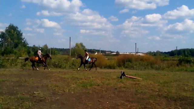 TRIM 2016 09 04 смотреть онлайн