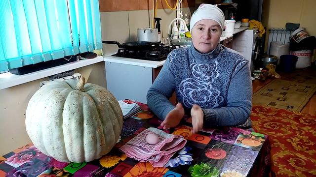 Какую породу кур выбрать на весну. ПЯТЬ моих лучших кур. смотреть онлайн