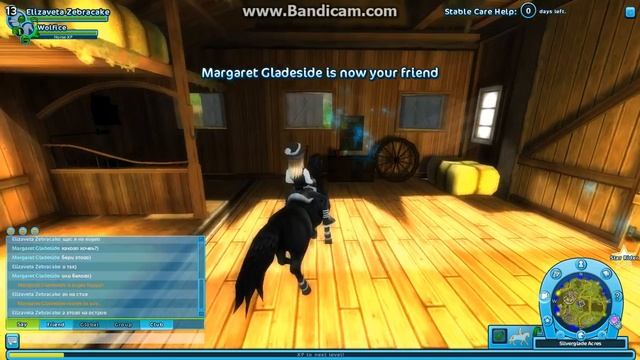 StarStable - покупка лошади (Морган) смотреть онлайн