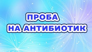 Проба на переносимость антибиотика смотреть онлайн