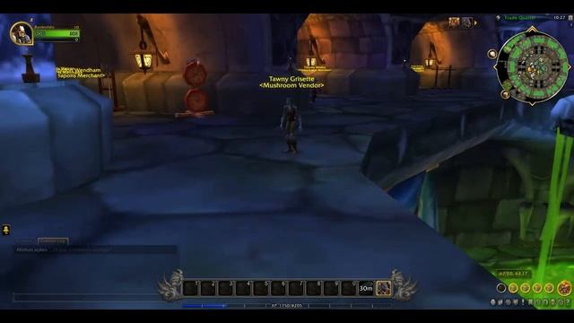 Location of Tawny Grisette (Mushroom Vendor) | Undercity | WOW World of Warcraft 2023 смотреть онлайн