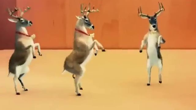 танец оленя смотреть онлайн