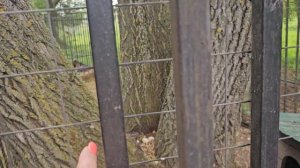 приключения начались. Всё пошло не так как хотелось