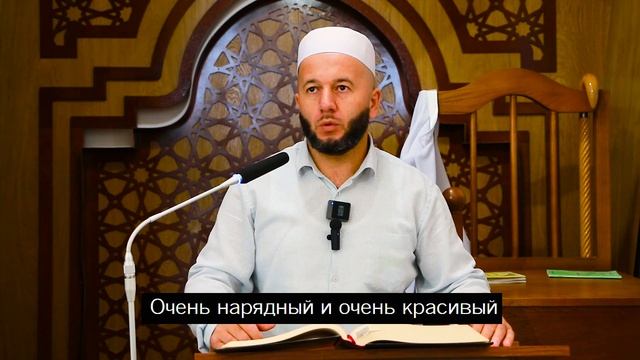 Удивительный случай из жизни Пророка Сулеймана(мир ему)