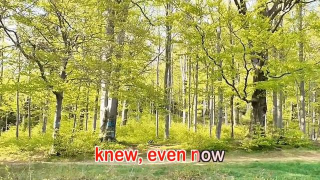 Even Now - Barry Manilow (KARAOKE VERSION) смотреть онлайн