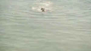 Год Активного Солнца (драма, 1982, 2-я серия, HQ)