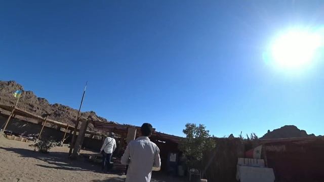 #travel #Египет сафари Шарм-эль-Шейх смотреть онлайн