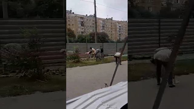 Харьковчане снесли забор на месте строительства киосков смотреть онлайн