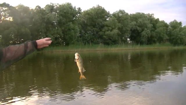 Рыбалка на окуня, июнь 2018, Астрахань смотреть онлайн