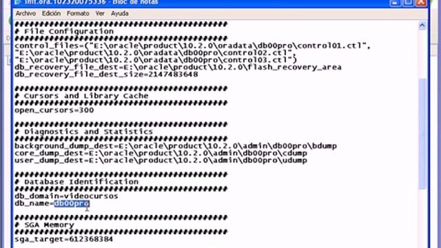 Oracle 10g Iniciar y detener instancias Parte 1. смотреть онлайн