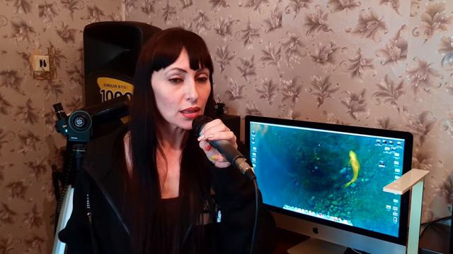 Alan Walker Faded Cover смотреть онлайн