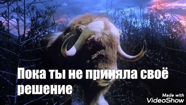 THE WEEKND — Call Out My Name / перевод