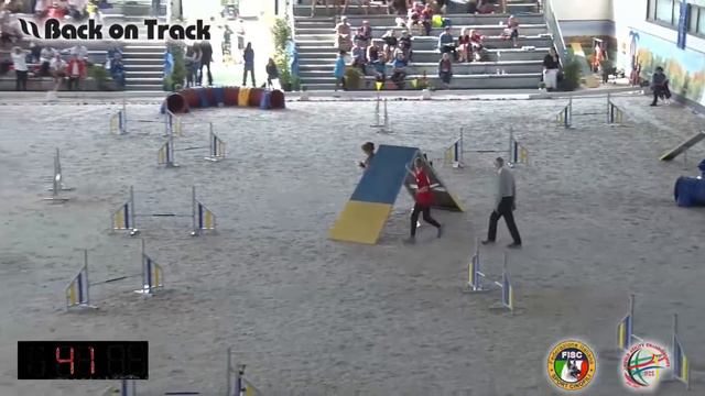 2018 World Agility Championship  Шмелев гемблерз