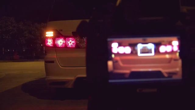 ALPHARD-10 кузов