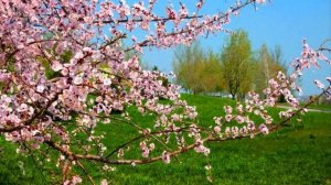 Самая любимая Родина моя