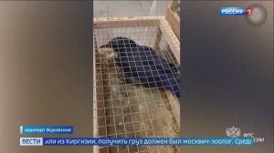 Телеканал «Россия 1», программа «Вести. Москва», 24.04.2024