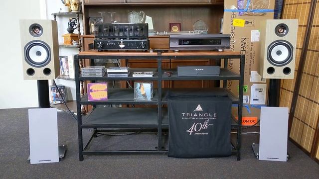 TRIANGLE COMETE EZ 40th ANNIVERSARY SPEAKERS смотреть онлайн