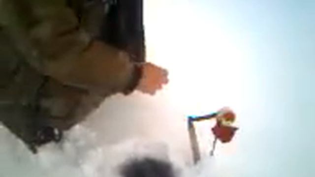 Техника вываживания.3gp смотреть онлайн