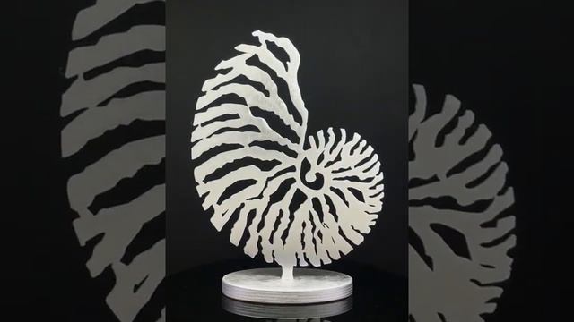 Декор настольный Nautilus silver из дерева смотреть онлайн
