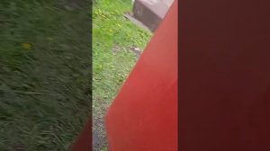 Регулировка момента впрыска топлива на тракторе Т25 с топливным насосом УТН5