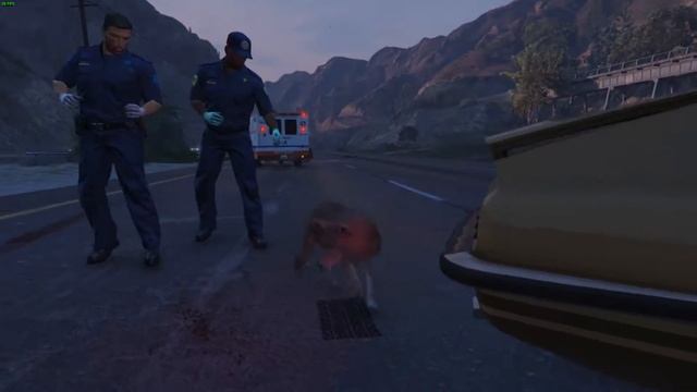GTA 5 - Лофофоры ● Животные ● Койот-убийца, часть 1 смотреть онлайн