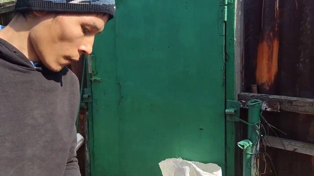 Хороший урожай 10 сентября 2022 год с дачи 6 соток, город Кокшетау, Красноярские дачи смотреть онлайн