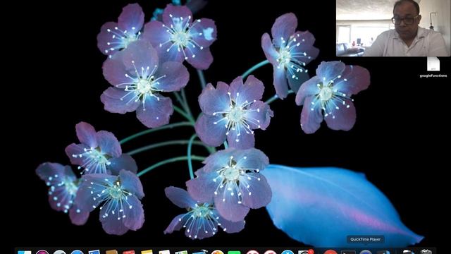 Install Visual Studio Code on Macbook смотреть онлайн