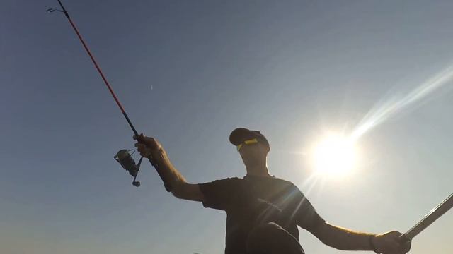 Судаки пошли в отказ.!! Супертрудовая рыбалка на Днепре смотреть онлайн