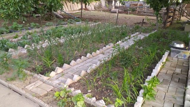 12июня 2021 привела огород в порядок до и после