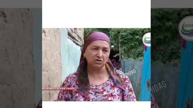 Действительно редкость.Корова родила 5х телят смотреть онлайн