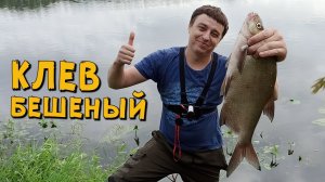 КРУПНЫЙ ЛЕЩ НА ДОНКУ! БЕШЕНЫЙ КЛЕВ ЛЕЩА НА САЛО! РЫБАЛКА НА ОКЕ
