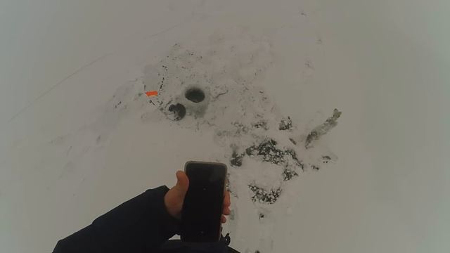 ЗИМНЯЯ РЫБАЛКА НА ЖЕРЛИЦЫ 2023! Ловля щуки на "мертвого живца" в январе. Рыбалка на крюк Кобра. смотреть онлайн