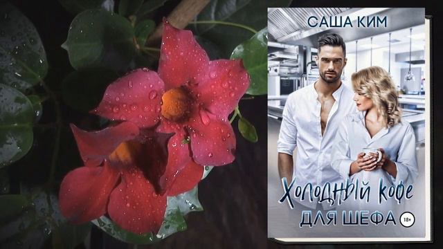 Холодный кофе для шефа. Любовный роман (Саша Ким) Аудиокнига смотреть онлайн