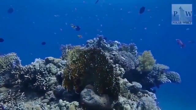 ЛУННЫЙ КАЛЕНДАРЬ НА 28 ФЕВРАЛЯ 2022 ГОДА. ОБЩИЕ РЕКОМЕНДАЦИИ ДЛЯ ВСЕХ ЗНАКОВ ЗОДИАКА смотреть онлайн
