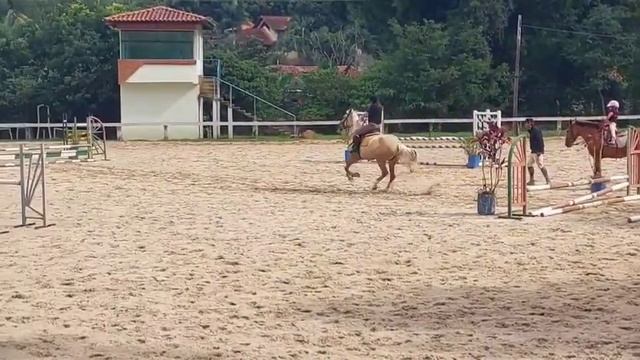 Essa égua é incrível (treino de Ginástica 29/04/2023) смотреть онлайн