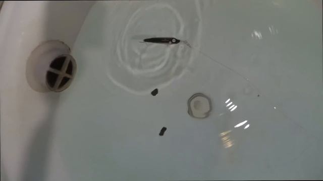 Окунёвая тема #2 Копия ITUMO Pitty 65 SP SB с AliExpress смотреть онлайн