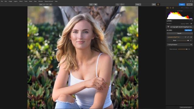 Accent AI 2.0 Filter смотреть онлайн