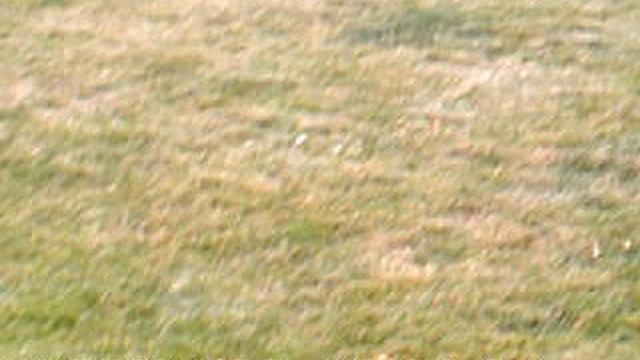 DSCF0034.AVIЖелезноводск Пятигорск 2022