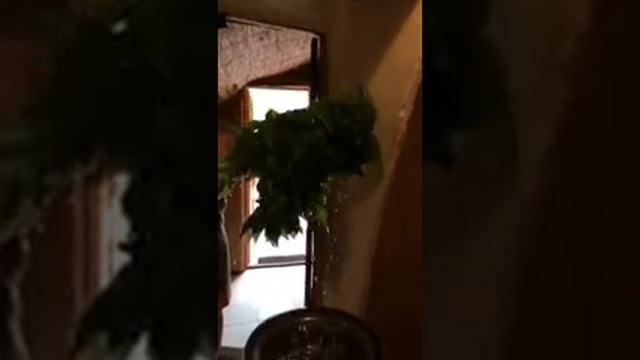 Крапива в бане смотреть онлайн