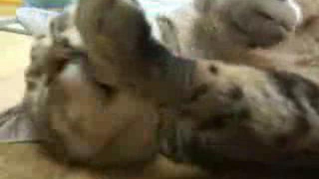 уснуть за 3 секунды смотреть онлайн