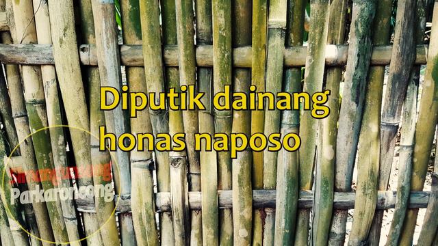 HEA DO HUTAON NAPORSUK | PUISI BATAK | PAULUS SIMANGUNSONG